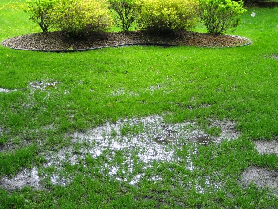 6 Ways To Tell If Your Property Is Not Draining Properly and 6 Possible Ways to Fix It…