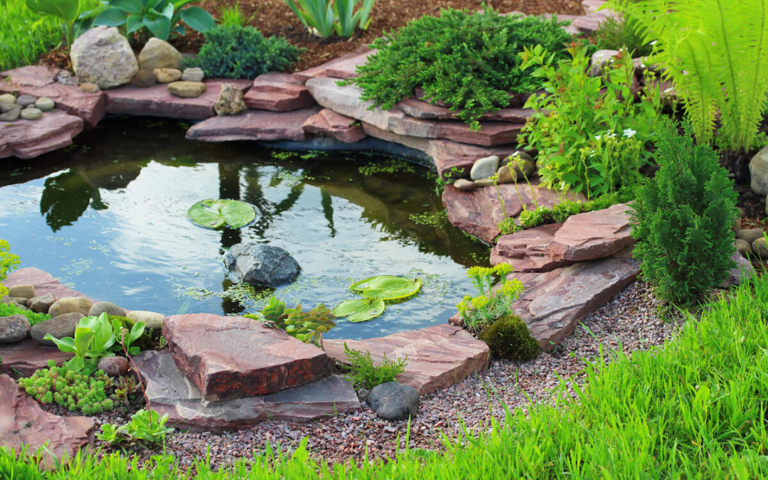 3 Types of Water Features That Can Take Your Landscaping Up a Notch…