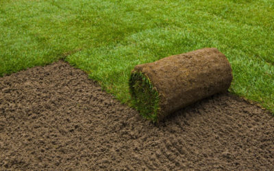 Lawn Tips – The 6 Benefits of Having a Sodded Lawn…