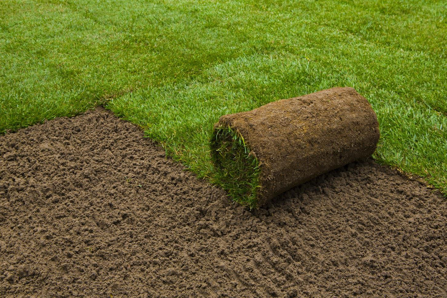 Safeguard Your Lawn From Mud and Erosion