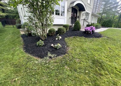 Josh in Hyde Park Loves His Spruced Up Flower Beds! See Pics…
