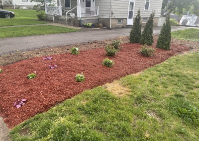 D2 Installed a New Landscape for a Norwood Customer. See Pics…