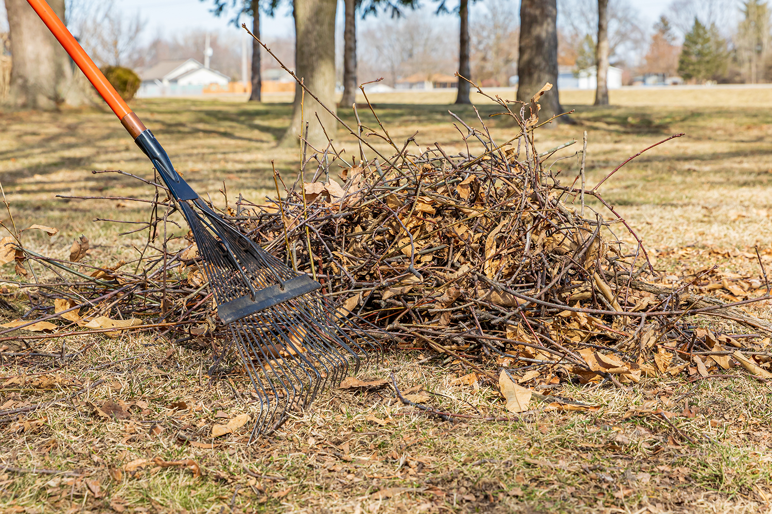 Brush Removal