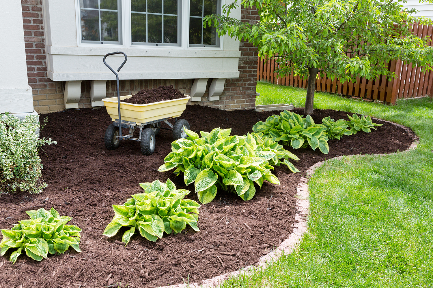 Mulching bed