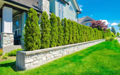 How Pros Create Privacy Without Feeling Closed In